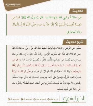 حتى الشوكة يشاكها